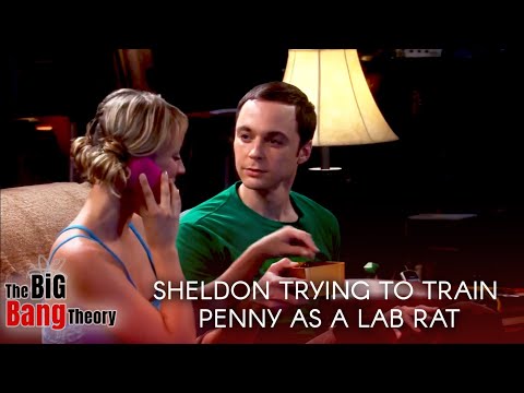 Sheldon trying to train Penny as a lab rat | The big bang theory