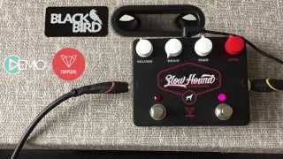 Video thumbnail for Foxpedal Slow Hound Overdrive demo by Gearwire