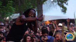 Summer Arts & Music Festival 2015