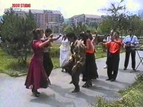 NICOLAE GUTA - SUCAR SAN SUCAR CHELES, ZOOM STUDIO