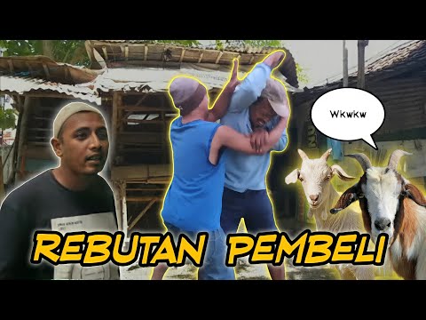 rebutan-pembeli-film-komedi-pendek-pekalongan