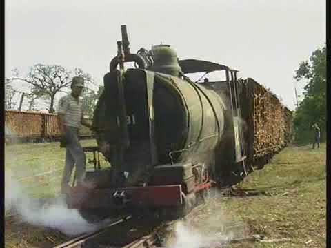 Vanishing World Steam Volume 5 - espartaco Large