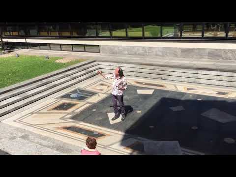 Patrick Blanc   Les belles de l'ombre