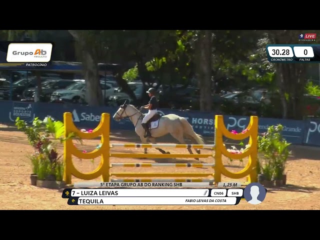 Tequila - oldest offspring dam passe partout 