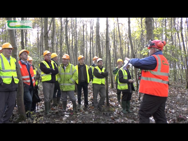 Forestry in Teagasc