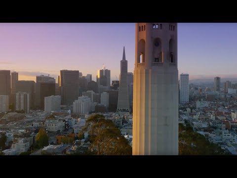 A Day in the Northside of San Francisco | Armour Group SF