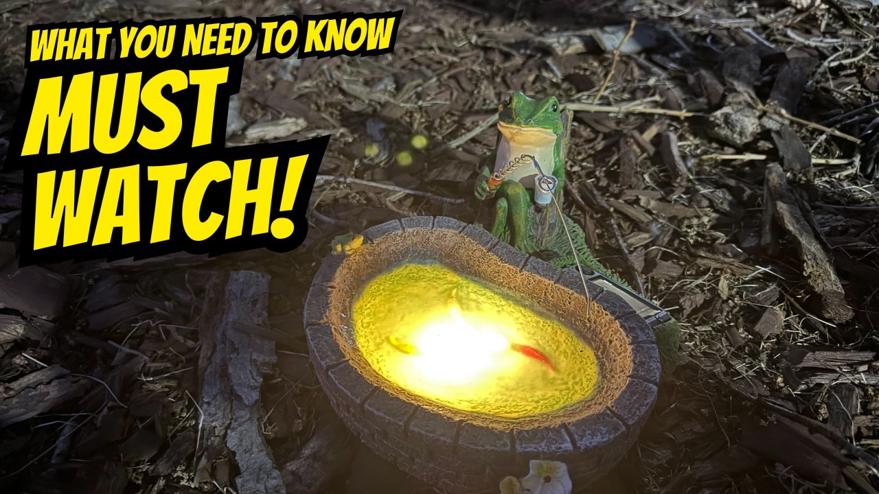 RPYFMMKPF Solar Frogs for Outdoors, Fishing Frog-Shaped Garden Decor, Is It Worth It? #amazon #ad