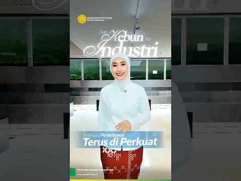 Dari Kebun ke Industri, Hilirisasi Perkebunan Terus Diperkuat