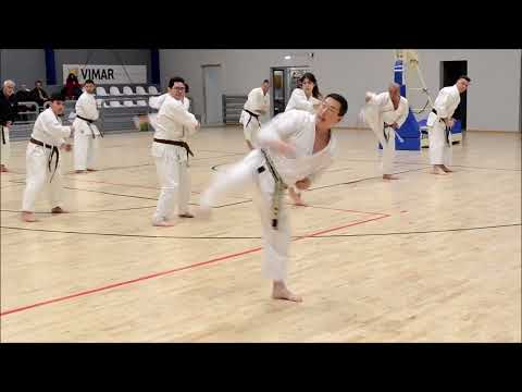 JKS GREECE N0 7 BROWN AND BLACK BELTS SAME HAND ATTACK AND GREAT HIP BALANCE ! HEIAN YONDAN