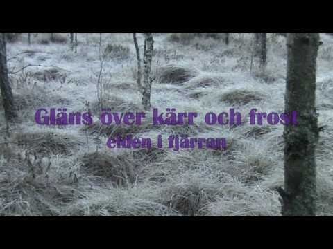 Gammeldags Jul - Gläns över sjö och strand - Skansens Luciakör