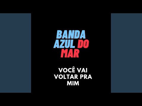 Você Vai Voltar pra Mim