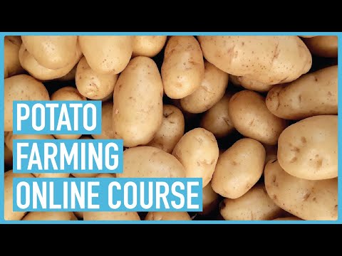 Profitable Pig Farming and Best Practices for success Course Outline