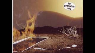 The Walkabouts - Have you ever seen the morning