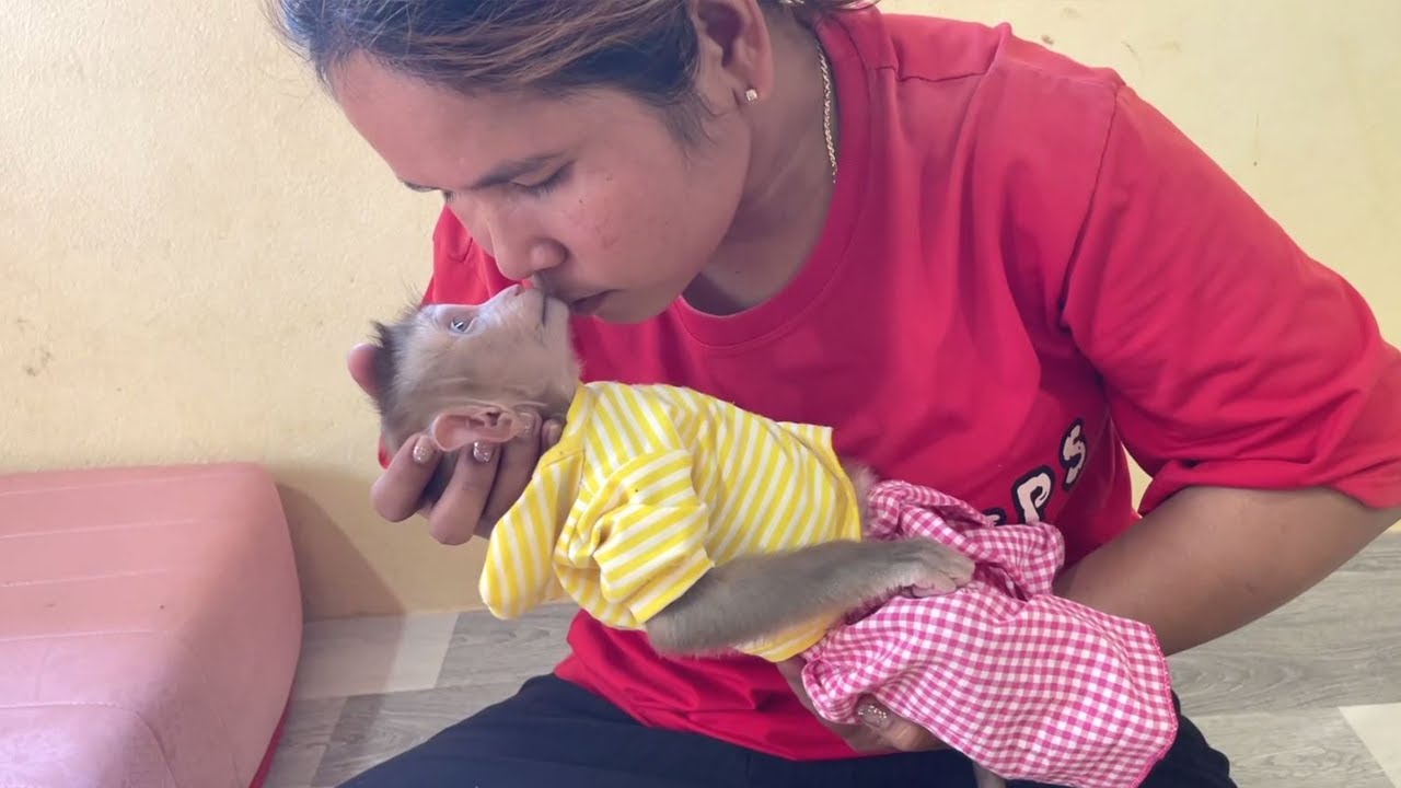 Mom Kissing A Baby Convince to Sleep, Very Sensational Mom&Baby