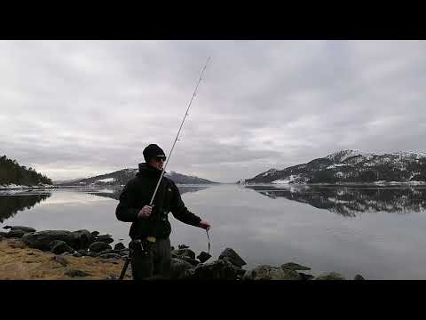 Seafishing in Kolvereid, Norway