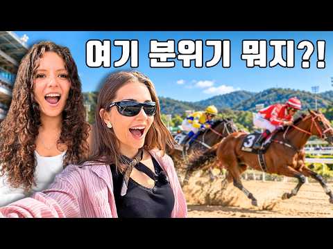 한국 경마장에 갔다가 완전 놀랐어요!