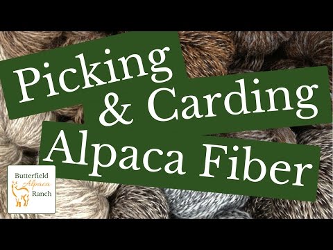 Picking & Carding Alpaca Fiber (Fleece)