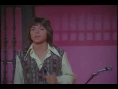 The Partridge Family its one of those nights