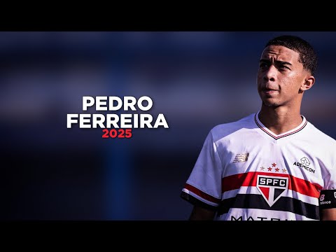 Pedro Ferreira "Pedrinho" - The New Brazilian Artist of São Paulo 🇧🇷