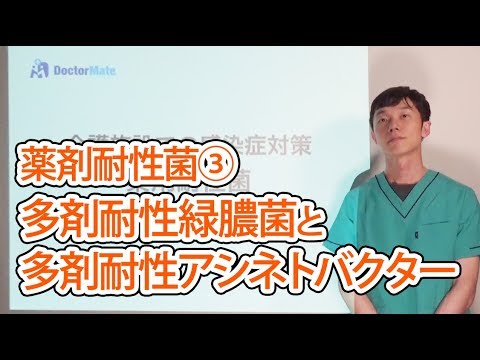 緑膿菌について詳しく解説