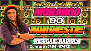 Download lagu Reggae da Baixada do Maranhão 2026 – MELO DE MORANGO DO NORDESTE  Reggae Limpo Remix Radiola Full Ma mp3