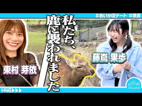 2023/9/23 【奈良観光】東村芽依とガチデートしてみたら男前すぎて惚れ直した【めいかほ】 のサムネイル