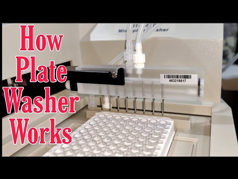 Microplate Washer _ How Plate washer works _ Microplate Washer Elisa Rayto
