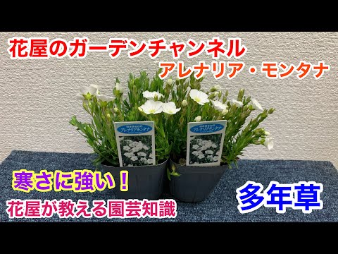 IUCN分類における絶滅の危険性を示す図。