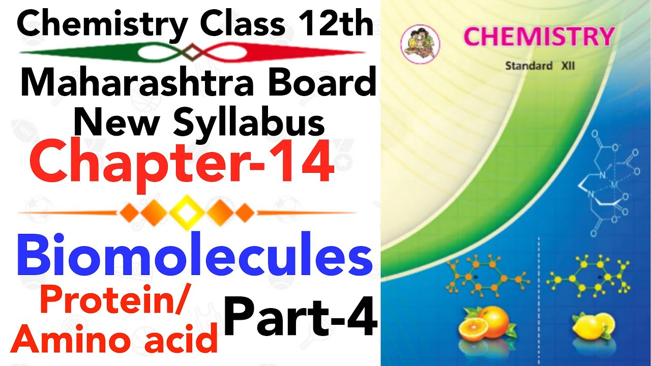 part-4 ch-14 Biomolecules chemistry class 12 science protein and amino acids | Enzymes