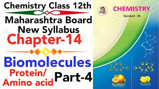 part-4 ch-14 Biomolecules chemistry class 12 science protein and amino acids | Enzymes