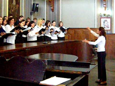 sarba pe loc. gheorghe danga, corul facultatii de muzica brasov ,2009, muzica populara