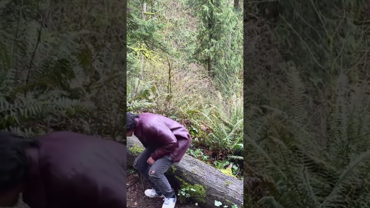 Teaser Trailer for “THE TREK”