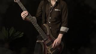 Soilwork – Soilworker&#39;s Song Of The Damned – bass cover