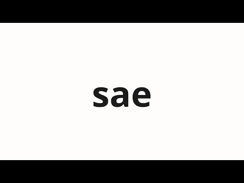 How to pronounce sae | 사에 (Sager in Korean)
