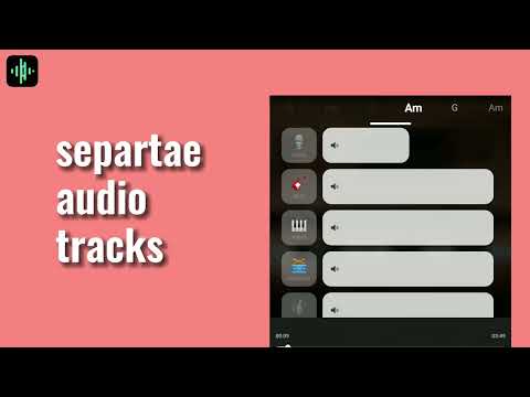 Splitter: Vocal Remover & More