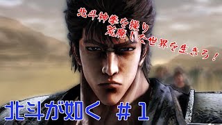 【アクション】#1  レモの助の『北斗が如く』