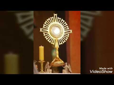 Música católica - Pedi e recebereis