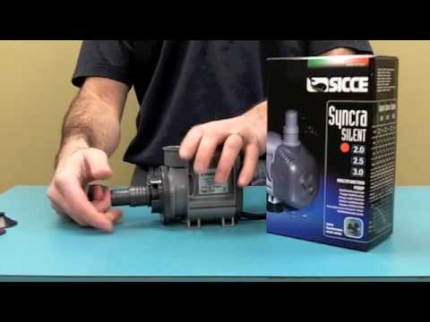 Watch Video on YouTube