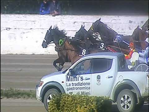 Trotto 31/12/2019 - 2ª corsa