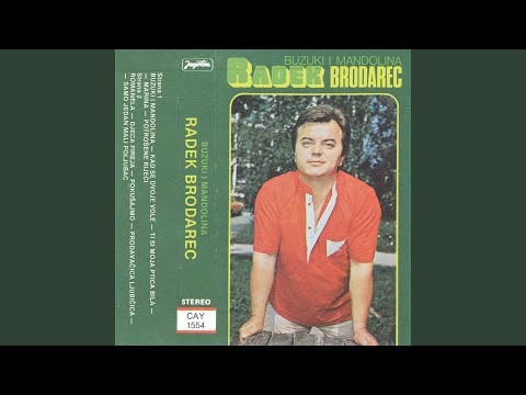 Prodavačica Ljubičica