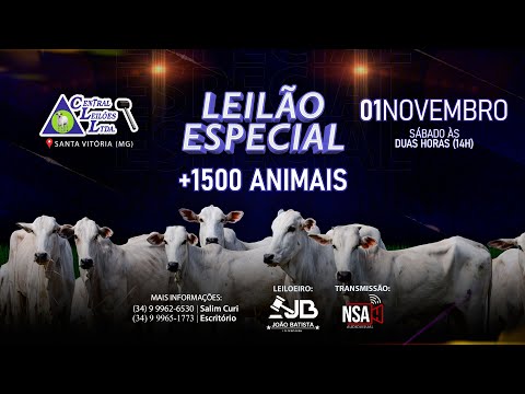 🌾  Leilão Especial Carga Fechada  - Central Leilões - Santa Vitória (MG) - 01 de NOVEMBRO