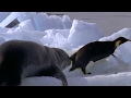 Leopard Seal Kills Emperor Penguin Blue Planet BBC Earth