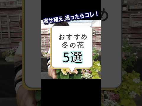 植物を暖めるのに適した冬のベールは何ですか?リーダーに従う ！  庭園