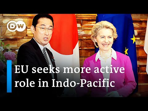 Ukraine war 'shakes foundations' of world order in Asia too, says Japan's PM | DW News