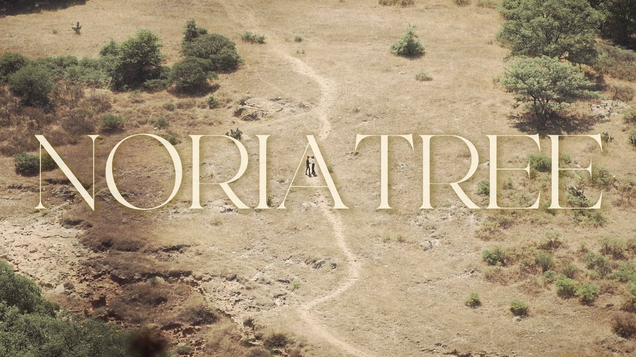 Noria Tree - Video 04