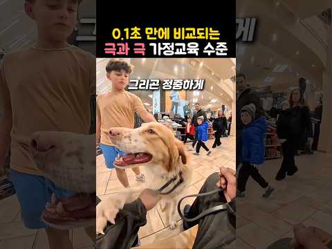 대형견 만났을 때 무개념 꼬맹이 vs 가정교육 제대로 받은 아이 #반려견에티켓 #펫티켓 #강아지인사법 #가정교육 #대형견