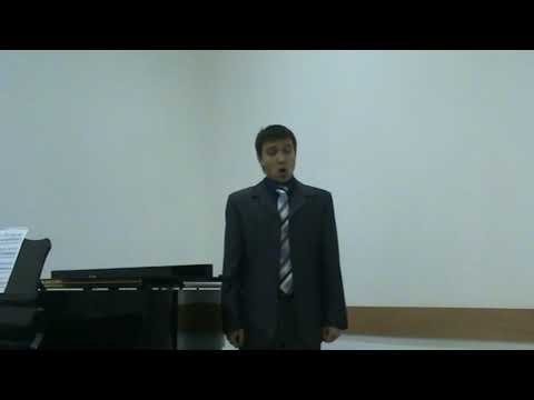 Andrey Nevyantsev - Lunge da lei... (La Traviata - G.Verdi)