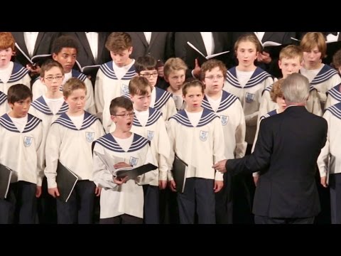 Le Ranz des Vaches (Lyoba) - Soliste et Zürcher Sängerknaben - Chant traditionnel suisse