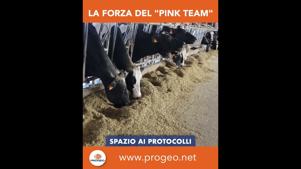 La forza del pink team