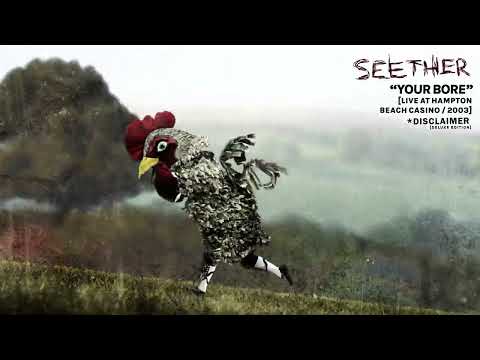 Videoclip de Your Bore (Live At Hampton Beach Casino / 2003) — Seether